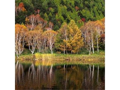 Outdoor Pictures 21