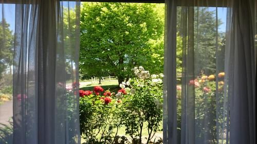 Outdoor Pictures 17
