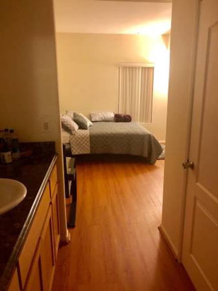 Luxury 1 bedroom suite (Downtown Los Angeles )