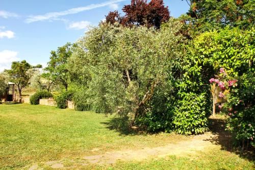 Outdoor Pictures 15