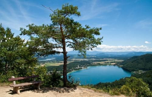 Outdoor Pictures 21