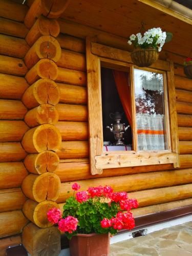Outdoor Pictures 5