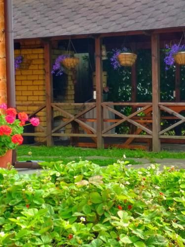 Outdoor Pictures 12