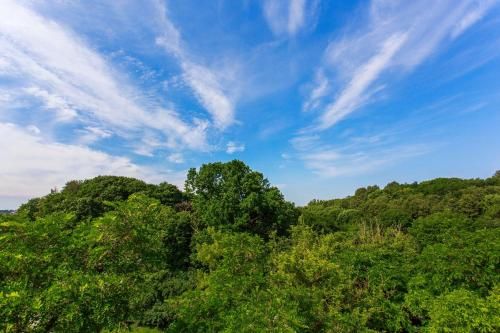 Outdoor Pictures 21