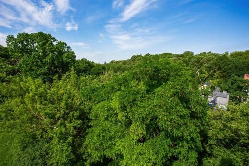 Outdoor Pictures 22