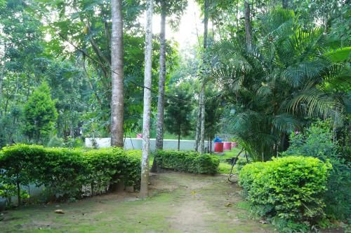 Outdoor Pictures 18