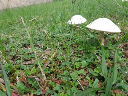Outdoor Pictures 22