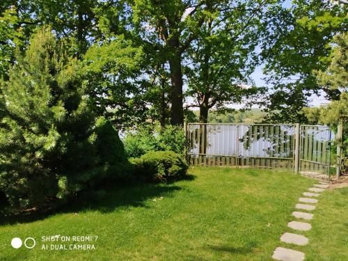 Outdoor Pictures 18