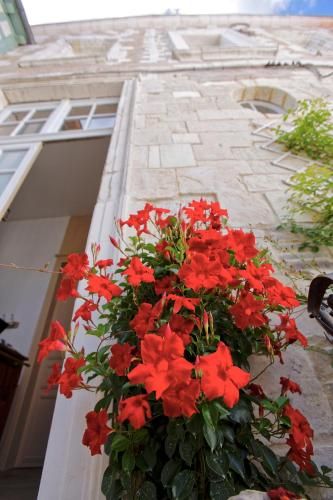 Outdoor Pictures 20