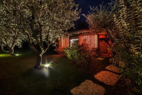 Outdoor Pictures 7