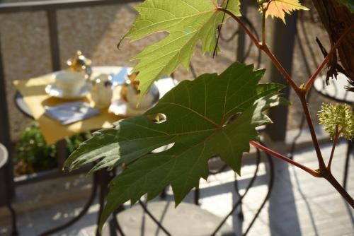 Outdoor Pictures 19