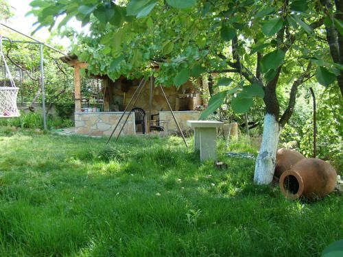 Outdoor Pictures 12