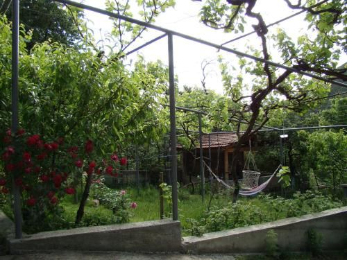 Outdoor Pictures 13