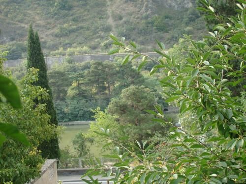 Outdoor Pictures 15