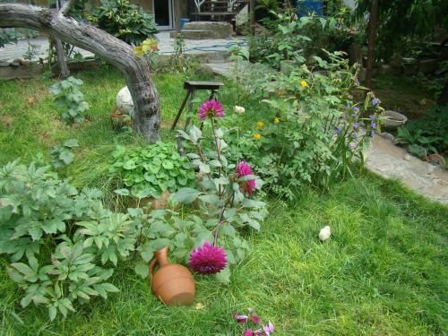 Outdoor Pictures 18