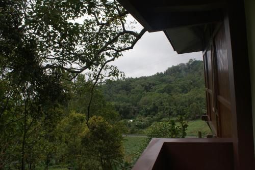 Outdoor Pictures 12