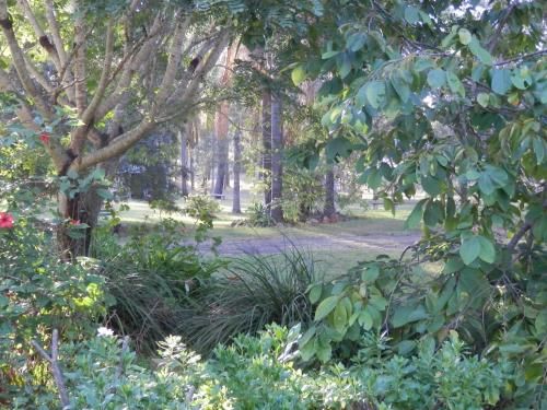 Outdoor Pictures 16