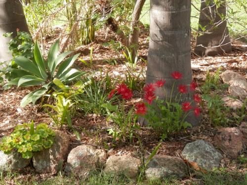 Outdoor Pictures 12