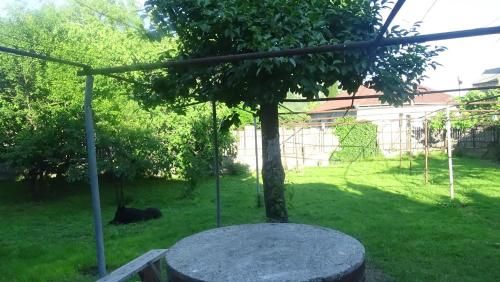 Outdoor Pictures 22