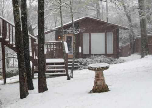 The Woods Cabins