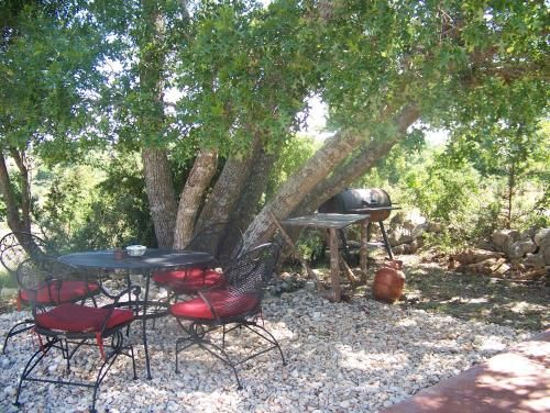 Outdoor Pictures 15