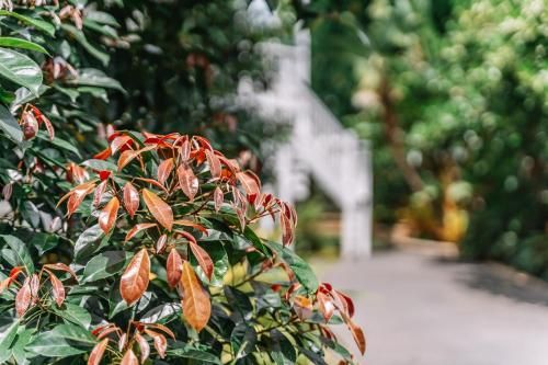 Outdoor Pictures 24