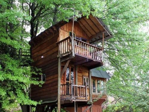 Sycamore Avenue Treehouses & Cottages Accommodation