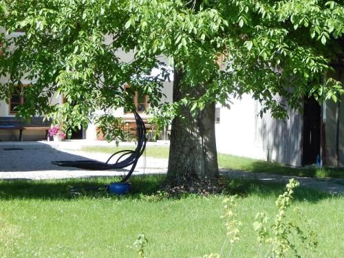 Outdoor Pictures 1
