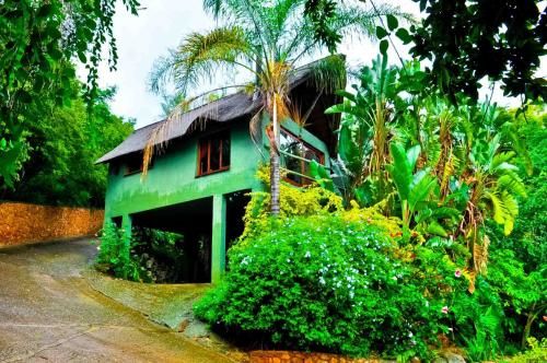 Outdoor Pictures 24