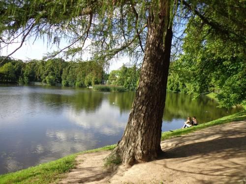 Outdoor Pictures 19