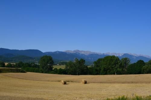 La cabana dels Isards