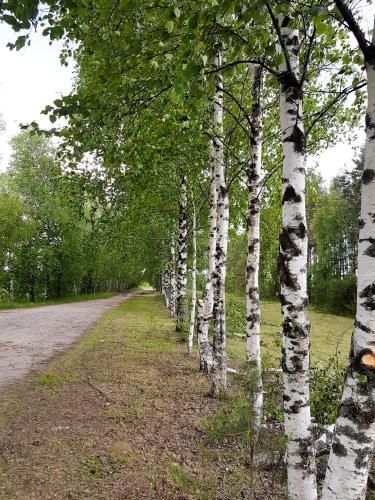 Outdoor Pictures 6