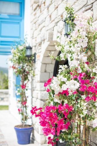 Outdoor Pictures 20