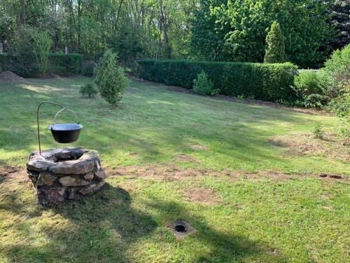 Outdoor Pictures 5