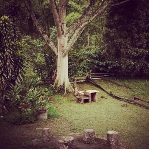 Outdoor Pictures 10