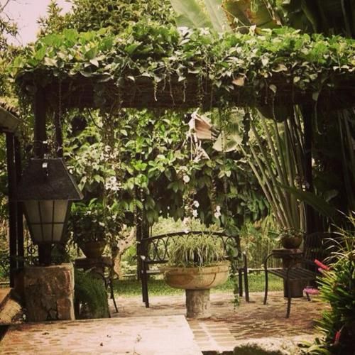 Outdoor Pictures 11