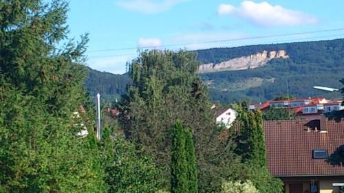 Outdoor Pictures 11