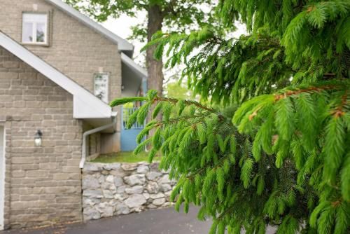 Outdoor Pictures 9
