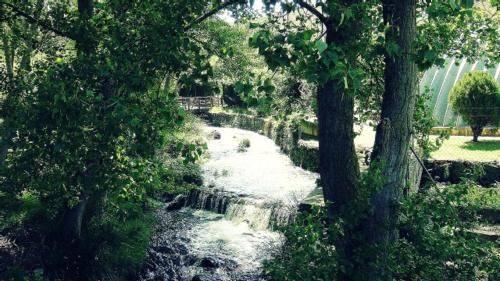 Outdoor Pictures 7