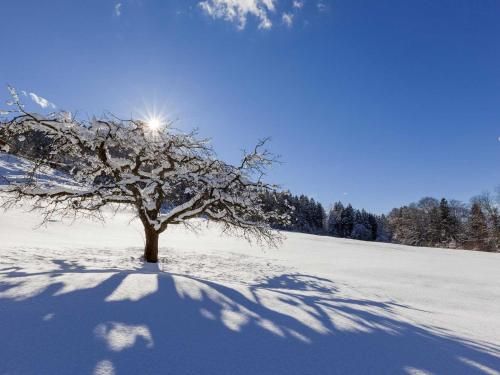 Outdoor Pictures 16