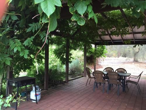 Outdoor Pictures 7