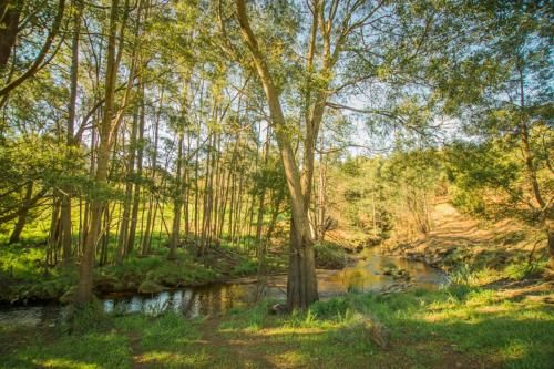 Outdoor Pictures 21