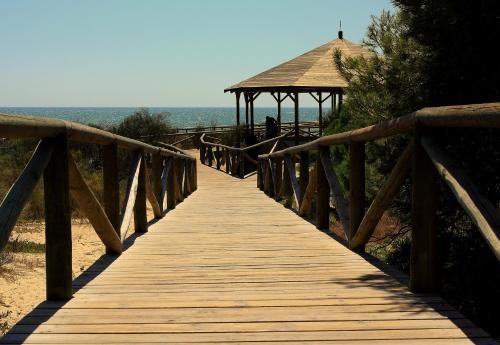 Outdoor Pictures 16