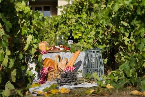 Outdoor Pictures 8