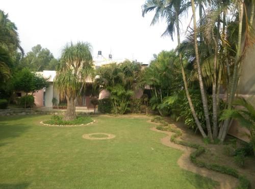 Outdoor Pictures 6
