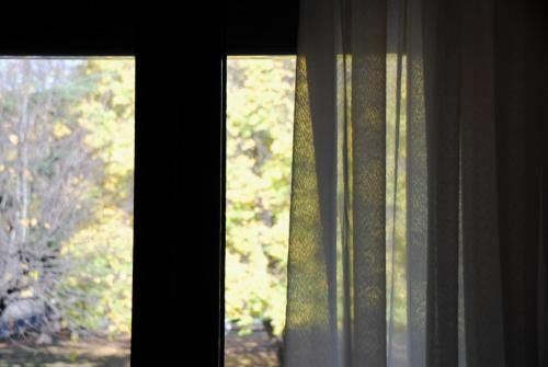 Outdoor Pictures 14