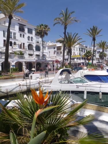 2044-Groundfloor with huge terrace and pools