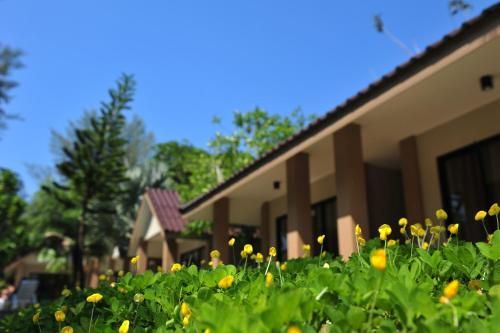 Outdoor Pictures 2