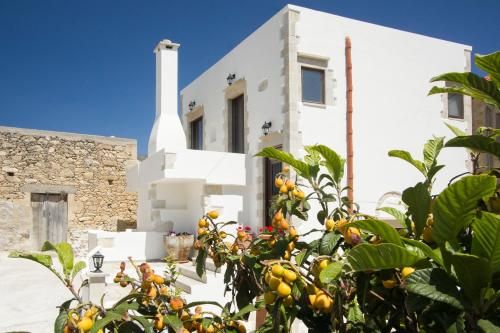 Aerino Villa
