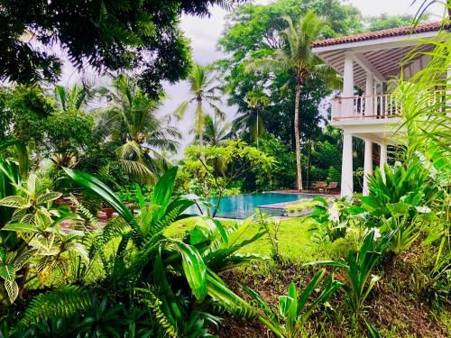 Outdoor Pictures 24